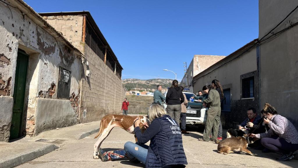 Voluntarios durante el rescate.