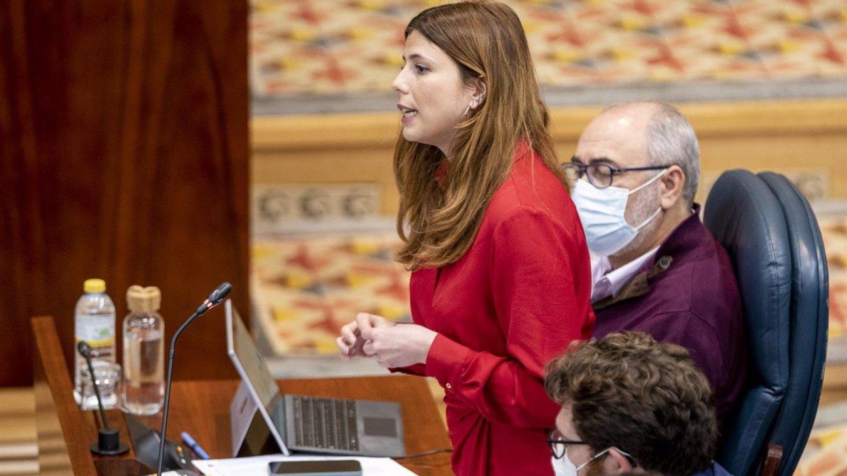 Loreto Arenillas en una sesión en la Asamblea de Madrid.