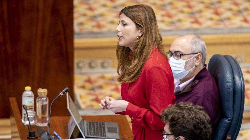 Loreto Arenillas en una sesión en la Asamblea de Madrid.