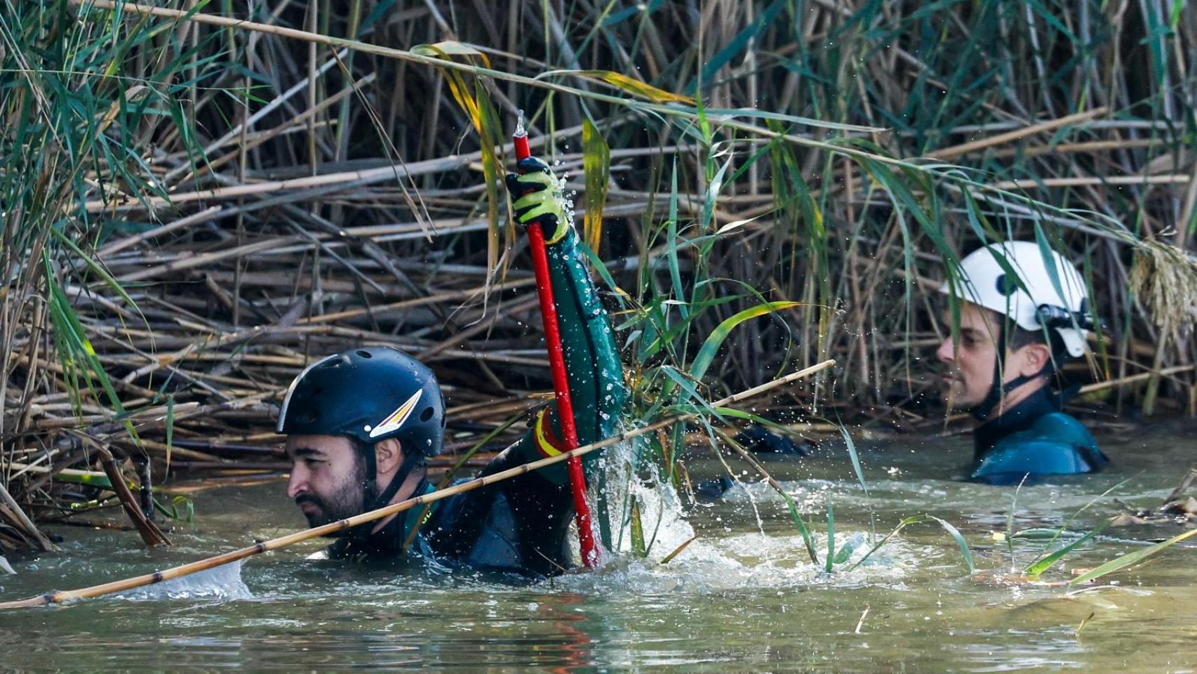 Miembros del GEAS de la Guardia Civil realizan labores de búsqueda en la zona de la Albufera.