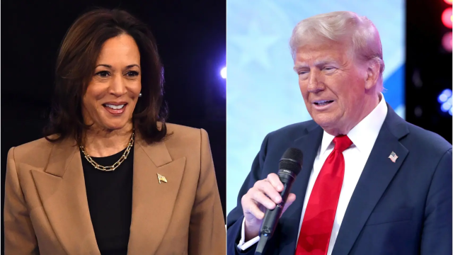 Donald Trump y Kamala Harris, en un fotomontaje.