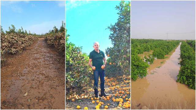 Bernardo Ferrer, agricultor afectado por la DANA.