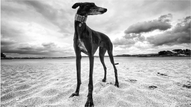 Freedom Beach, fotografía ganadora de la IX Edición del concurso Cancoruña