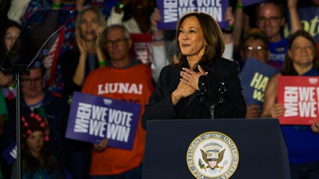 Kamala Harris, durante un mitin de campaña.