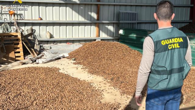 Imagen de las almendras sustraídas.