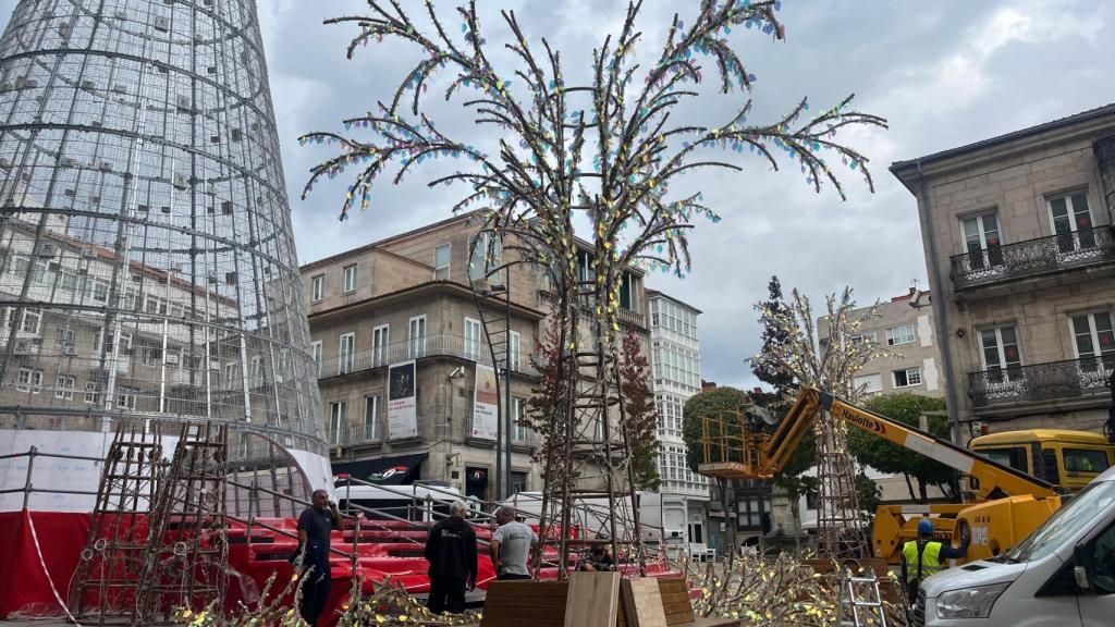 Comienza el montaje del bosque vivo que rodea el gran árbol de Navidad de Vigo