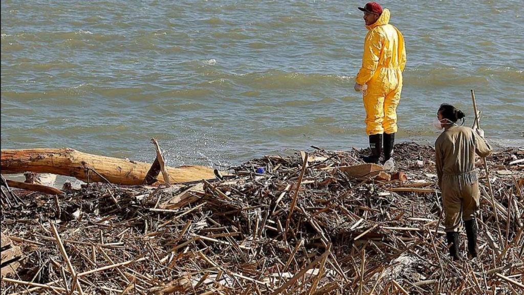 Imagen de los restos de la riada en la Albufera de Valencia.