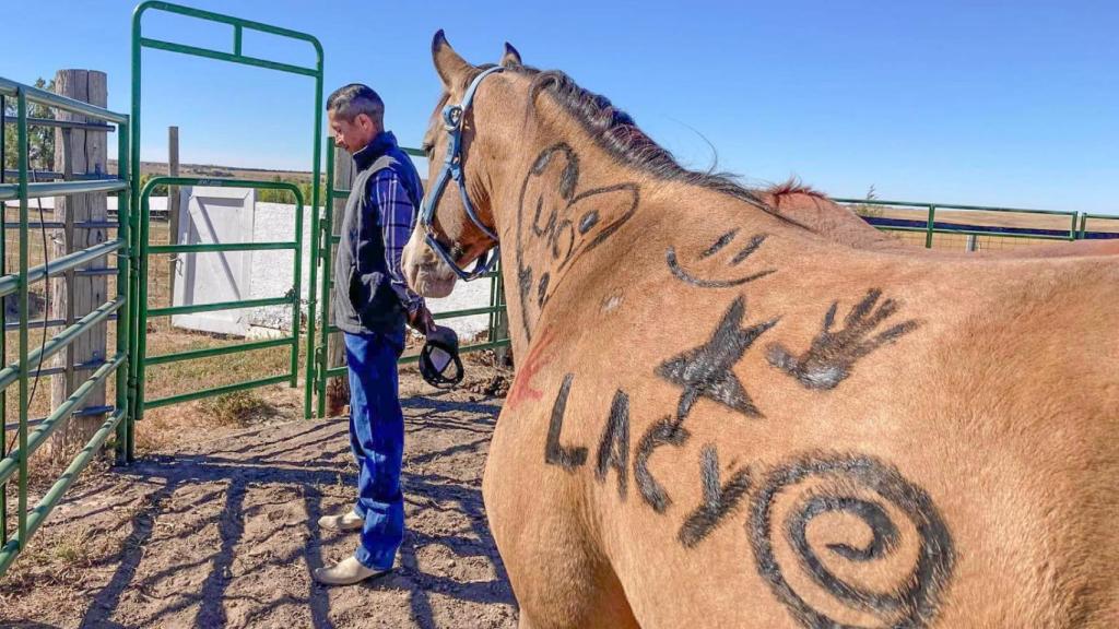 El caballo de Karen Little Thunder.