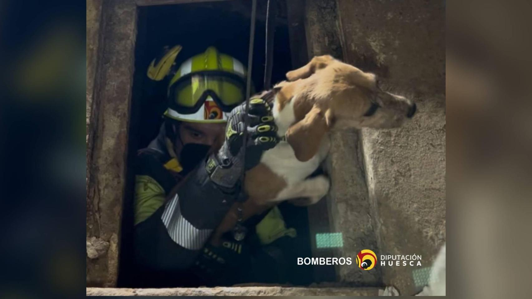 El can se ha encontrado en el interior de un pozo situado dentro de una vivienda de Pueyo de Santa Cruz (Huesca)