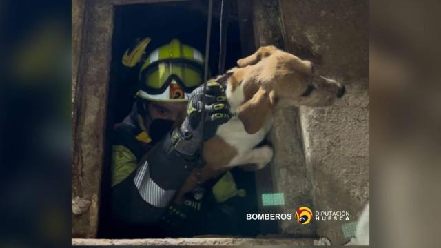 El can se ha encontrado en el interior de un pozo situado dentro de una vivienda de Pueyo de Santa Cruz (Huesca)