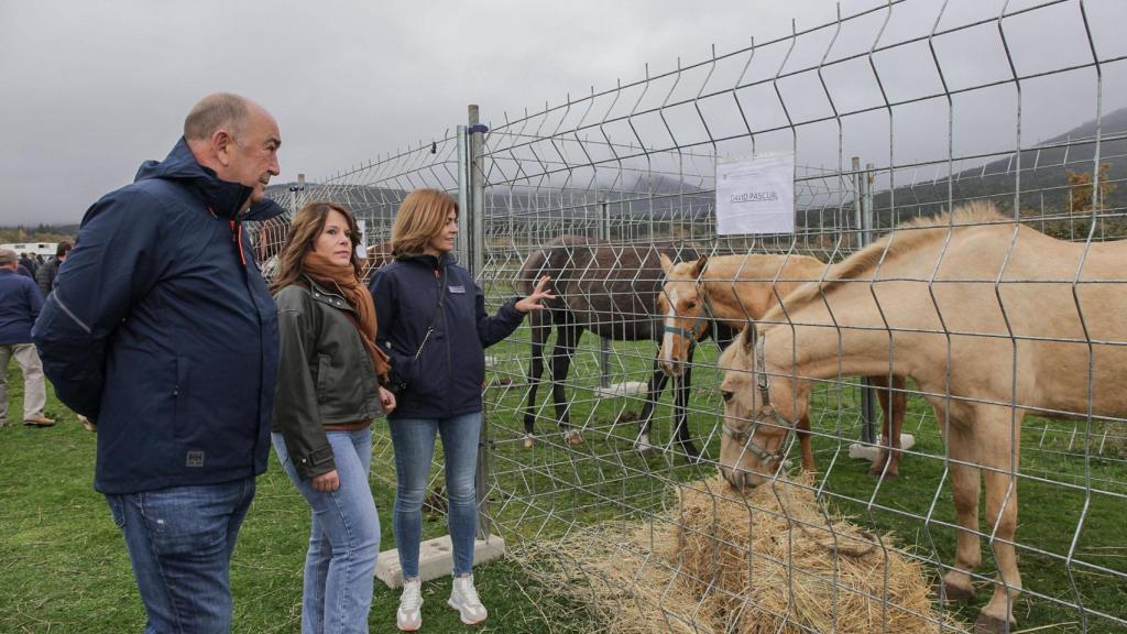 El presidente de la Diputación de Segovia, Miguel Ángel de Vicente, en la Feria del Ganado de Navafría