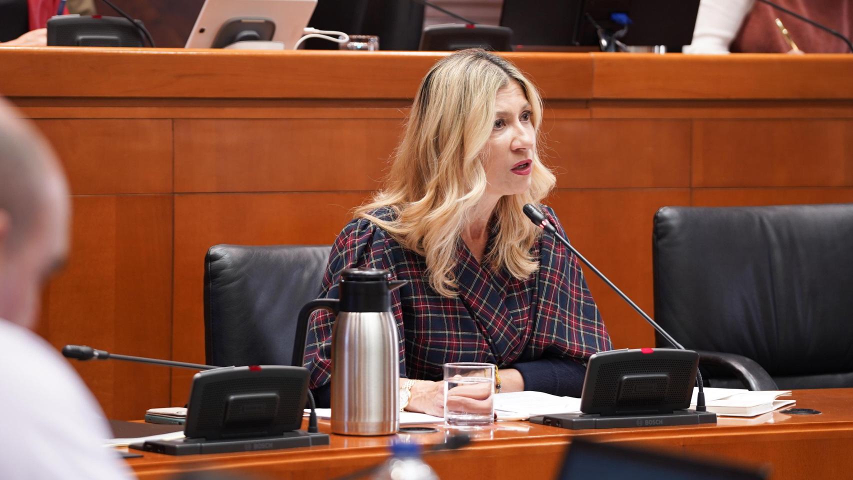 Mar Vaquero, este lunes, en el Parlamento autonómico.