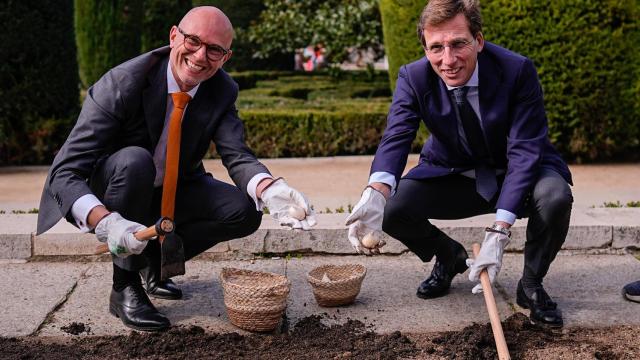 El increíble jardín de tulipanes que la princesa Amalia de los Países Bajos ha regalado a Madrid por acogerla