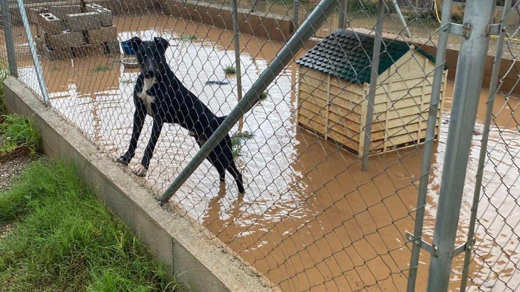 Instalaciones de Modepran en Carlet, anegadas por al agua. EE