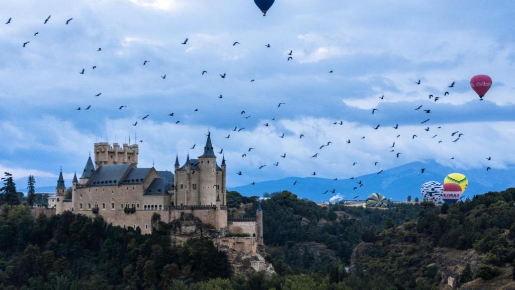 Foto segundo premio concurso Festival de Globos Volando como un pájaro