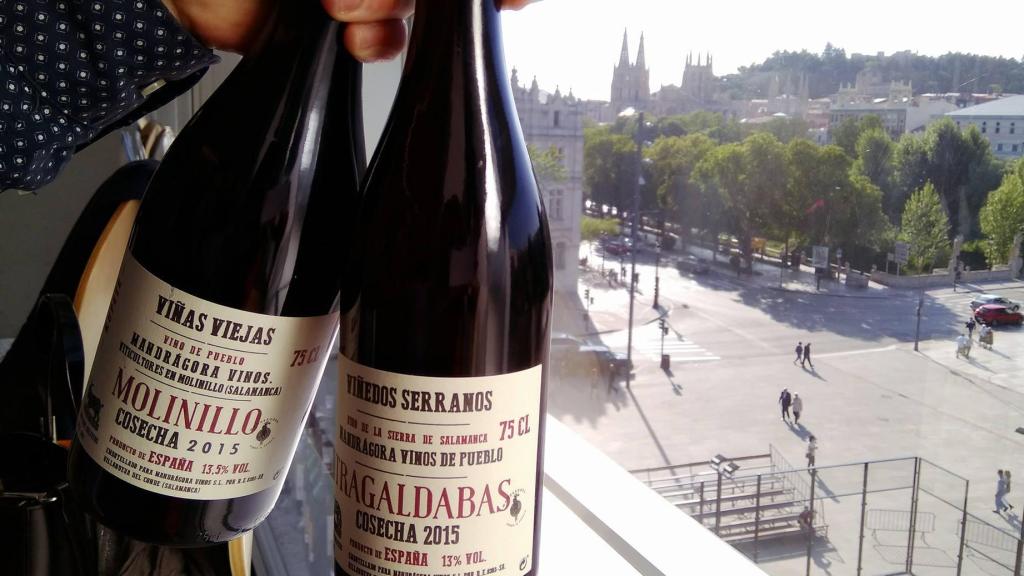 Tragaldabas, de Mandrágora Vinos de Pueblo de la Sierra de Francia