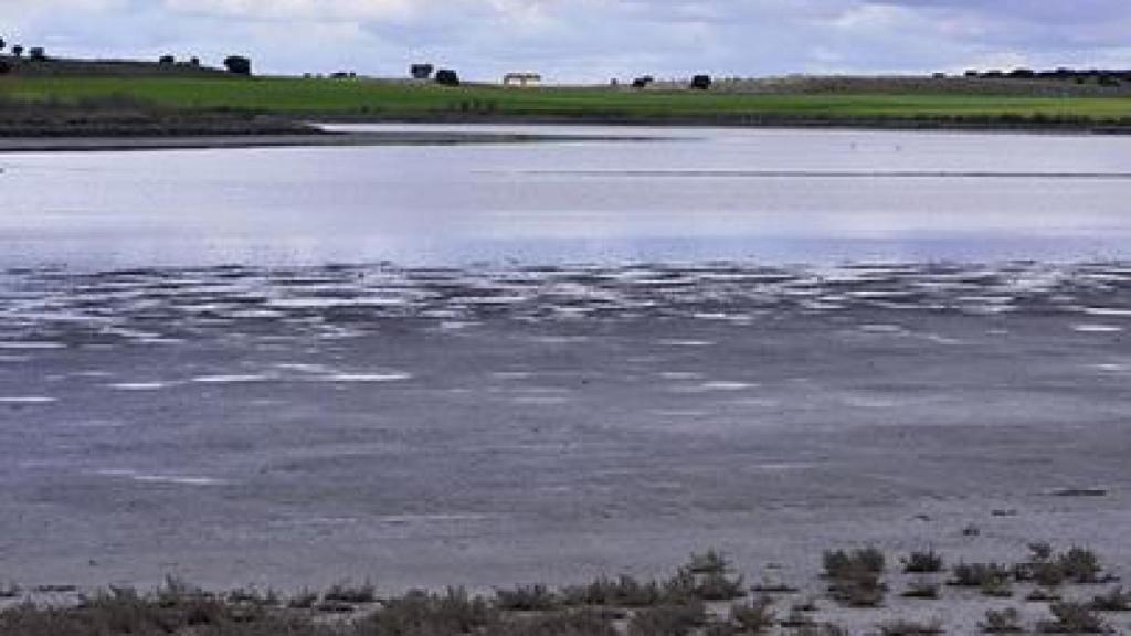 Laguna del Salicor de Campo de Criptana.