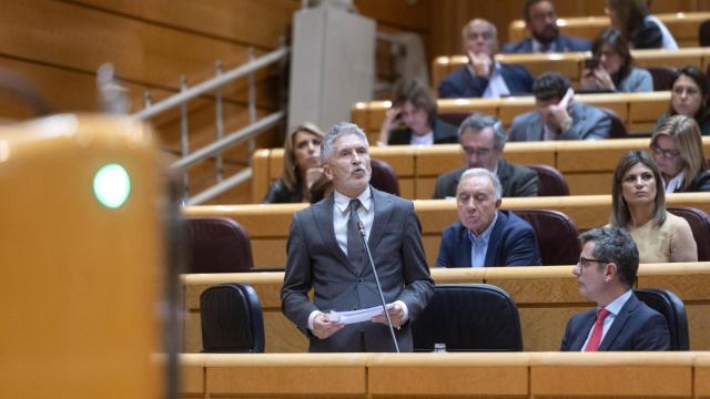 El ministro del Interior, Fernando Grande-Marlaska, en el Senado.