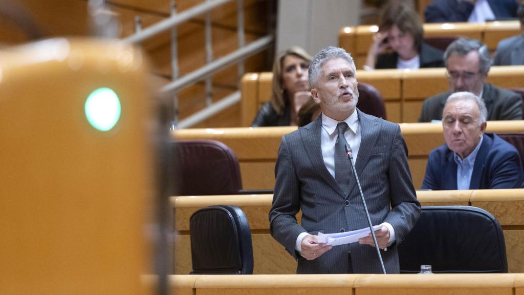 El ministro del Interior, Fernando Grande-Marlaska, en el Senado.