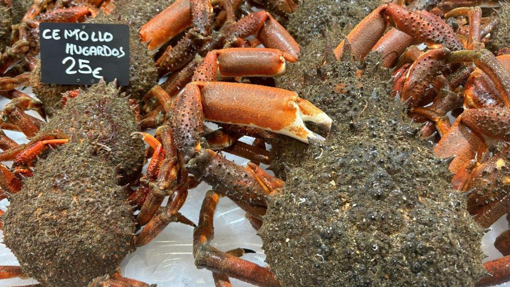 El centollo a la venta en A Coruña tras abrirse la veda.