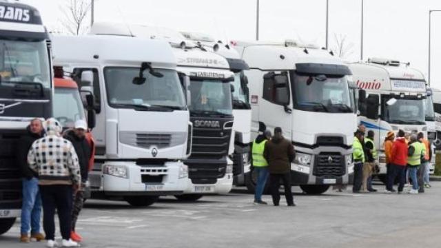 Transportistas y varios camiones estacionados.