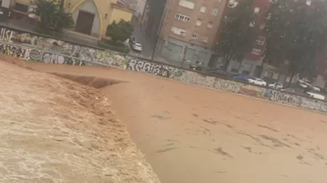 Vídeo del caudal del río Guadalmedina a su paso por Málaga.