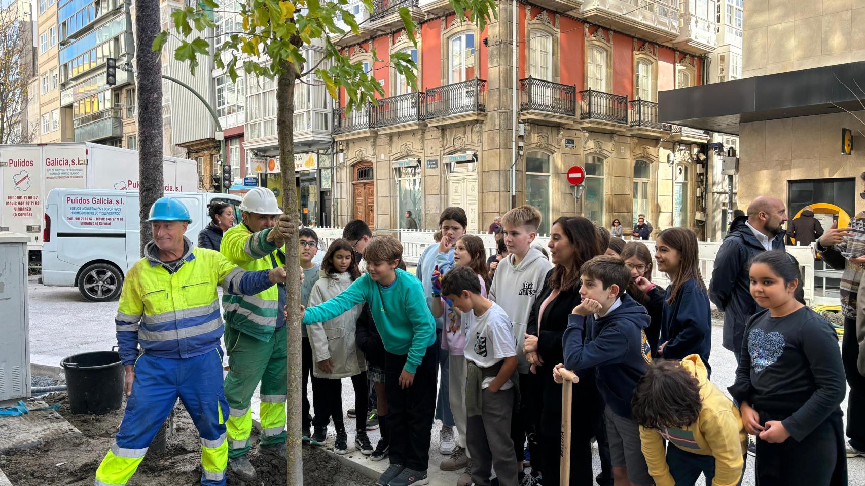 A Coruña ya tiene una nueva morera en San Andrés, con una intrahistoria especial