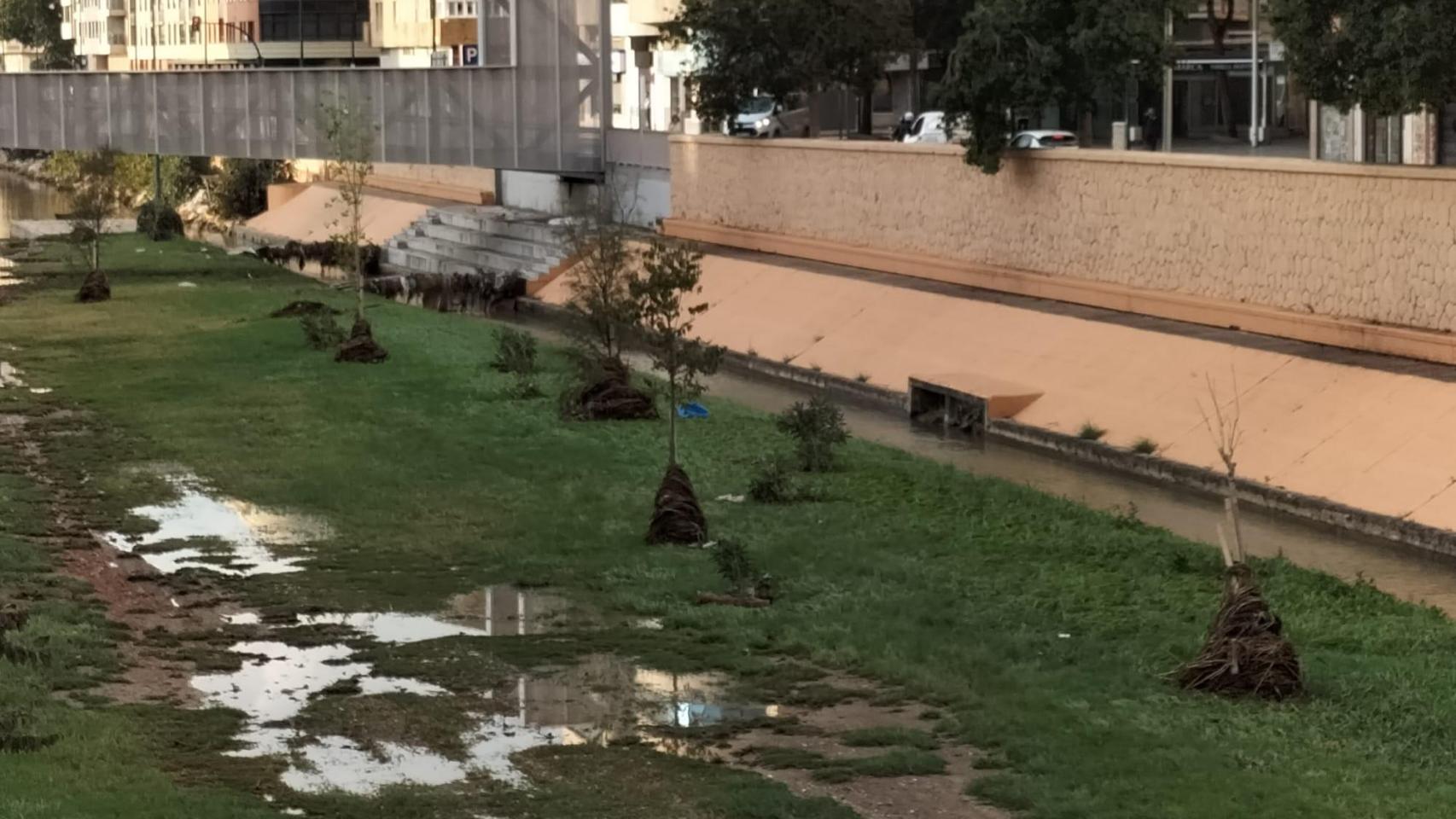 El Guadalmedina este jueves a primera hora de la mañana.