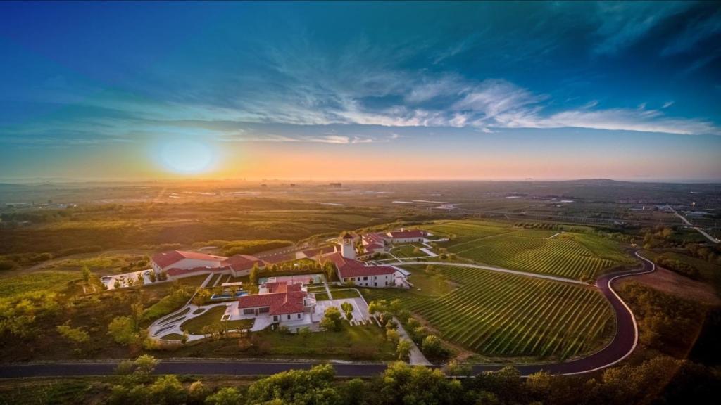 Vista aérea bodegas de Yantai