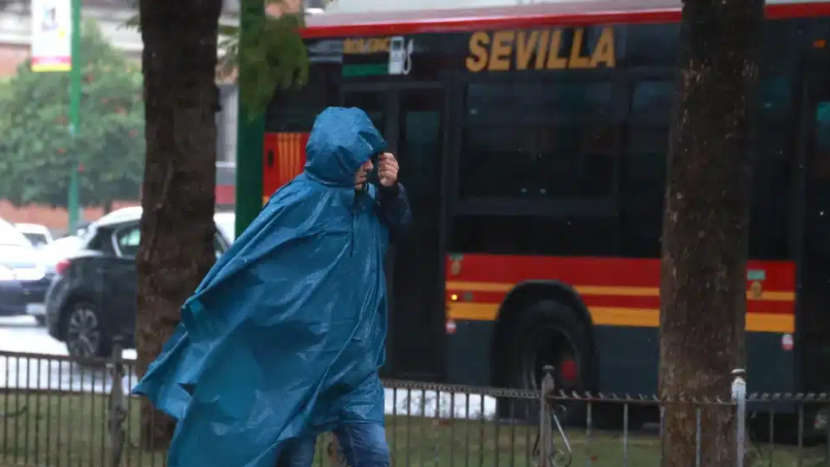 Lluvia en Sevilla