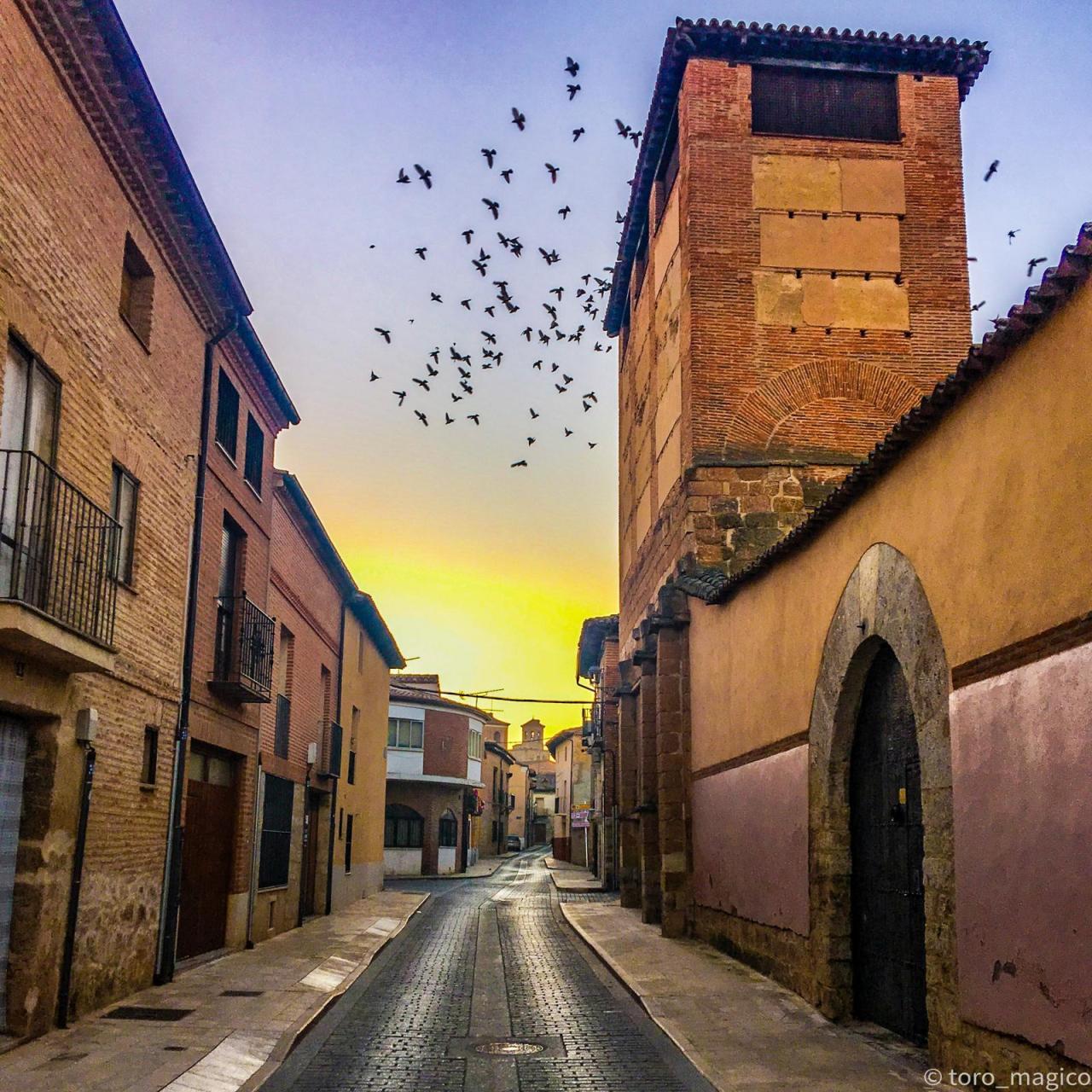 La ciudad de Toro tiene un patrimonio histórico y artístico excepcional, como este torreón del Real Monasterio de Santa Sofía