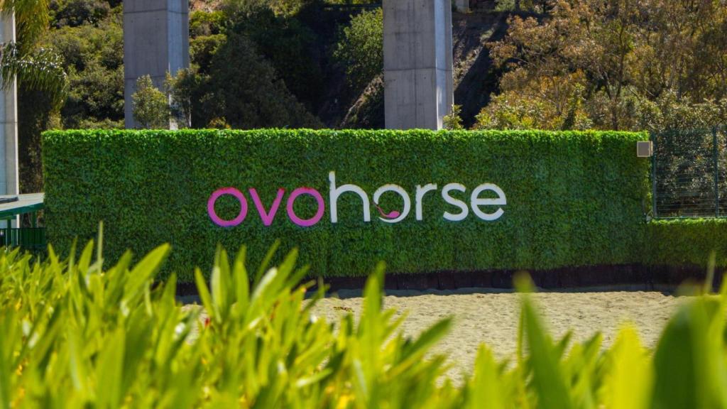 Logo de 'Ovohorse'.