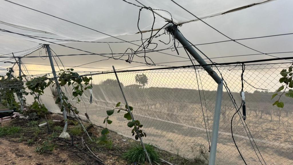 Los peritos empiezan a contar los daños en las infraestructuras agrícolas.