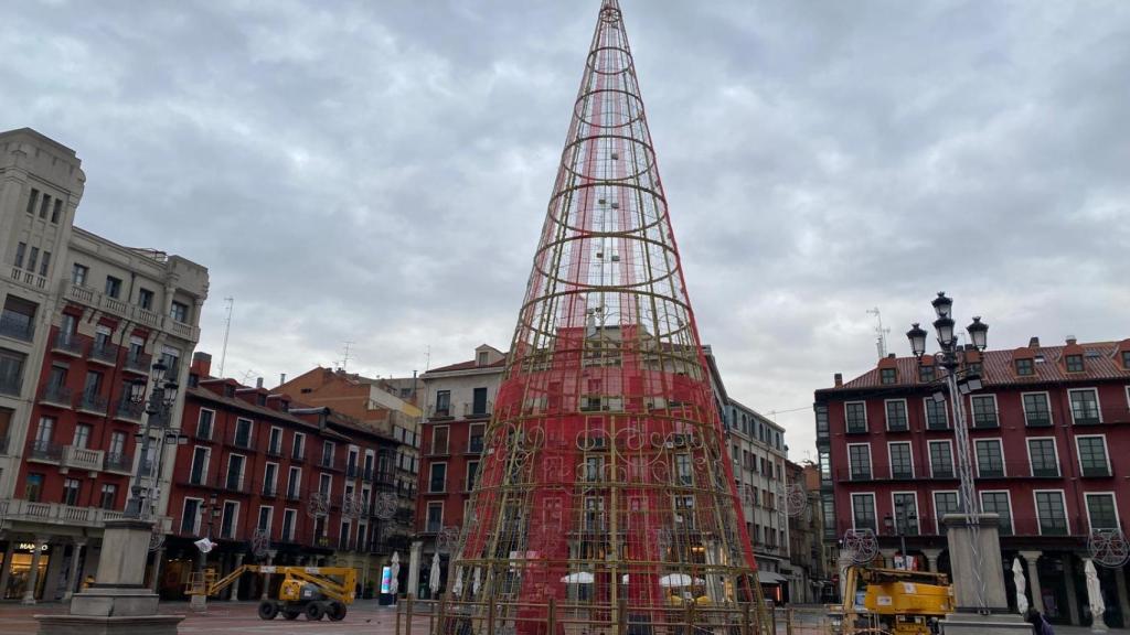 Montaje del árbol en la Plaza Mayor de Valladolid