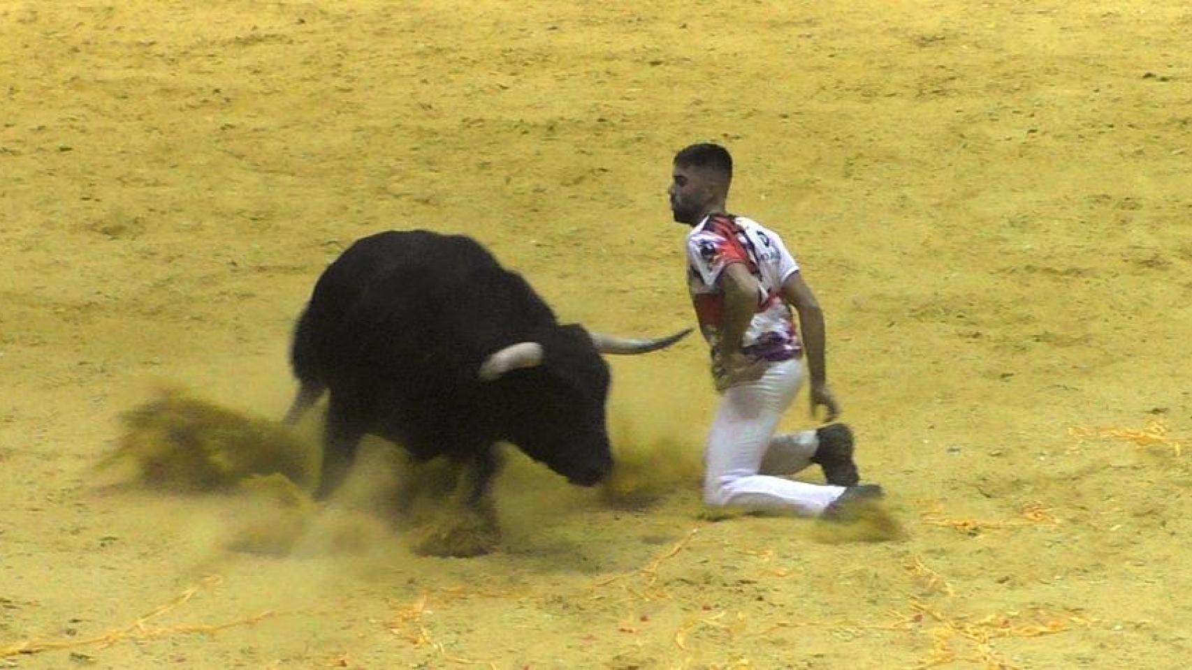 Concurso de Cortes de CyL en La Flecha