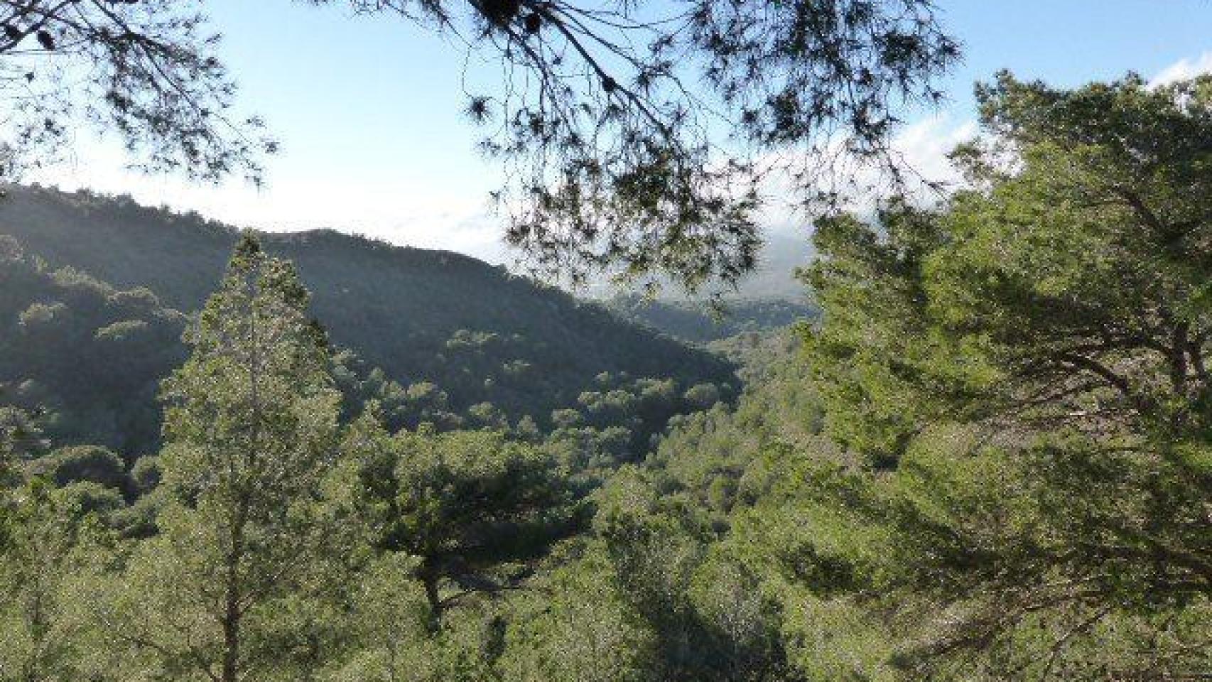 Una imagen del Parque Natural de Calblanque, en la Región de Murcia.