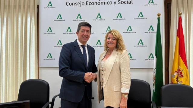 La alcaldesa de Huelva, Pilar Miranda, con el presidente del Consejo Económico y Social (CES) de Andalucía, Juan Marín, en su reunión en Sevilla.