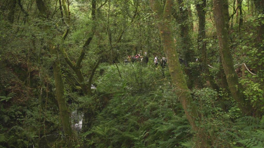 El riachuelo Andoriña marca el camino de esta ruta.