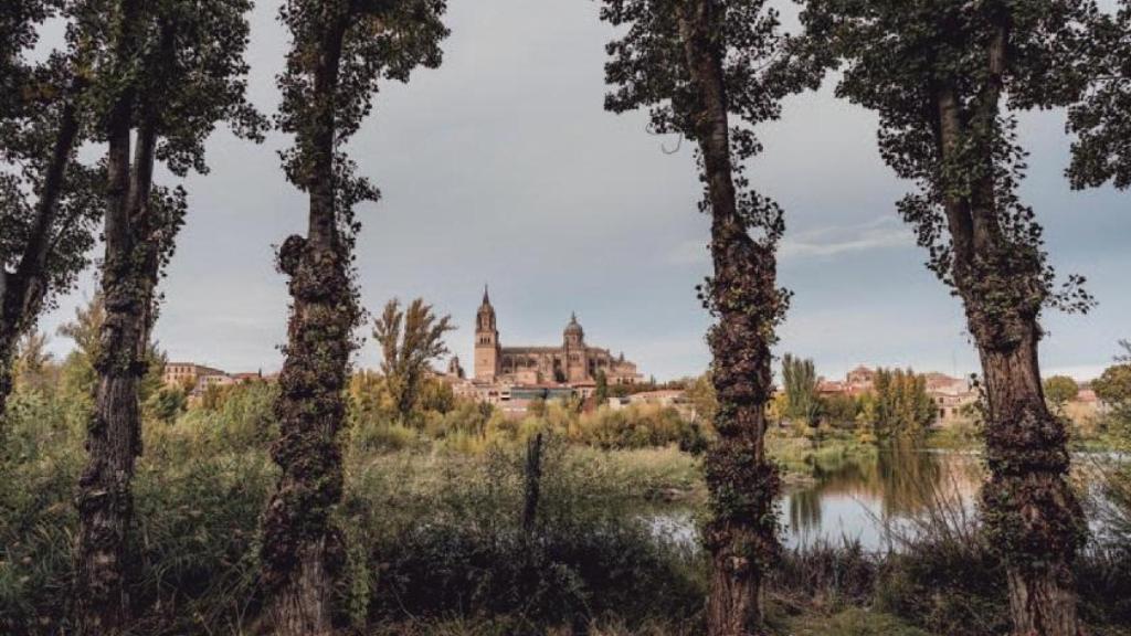 Salamanca ofrece un recorrido por diez puntos selfie con las mejores y más inolvidables vistas de la ciudad