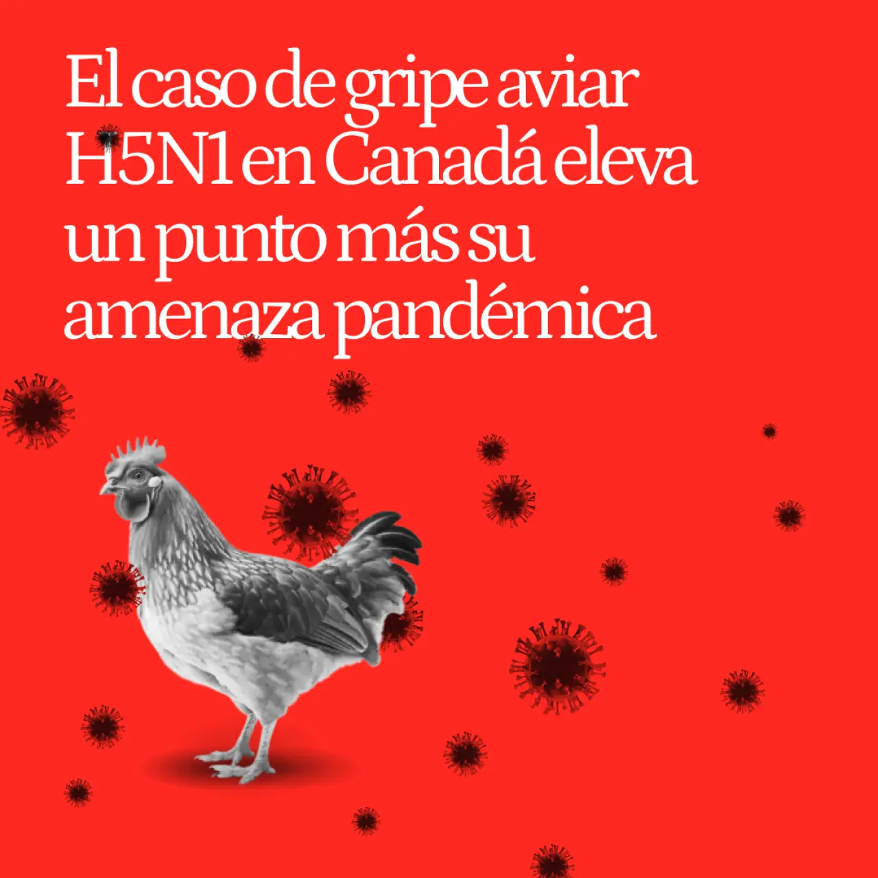 El caso de gripe aviar H5N1 en Canadá eleva un punto más su amenaza pandémica:  "Es francamente preocupante"