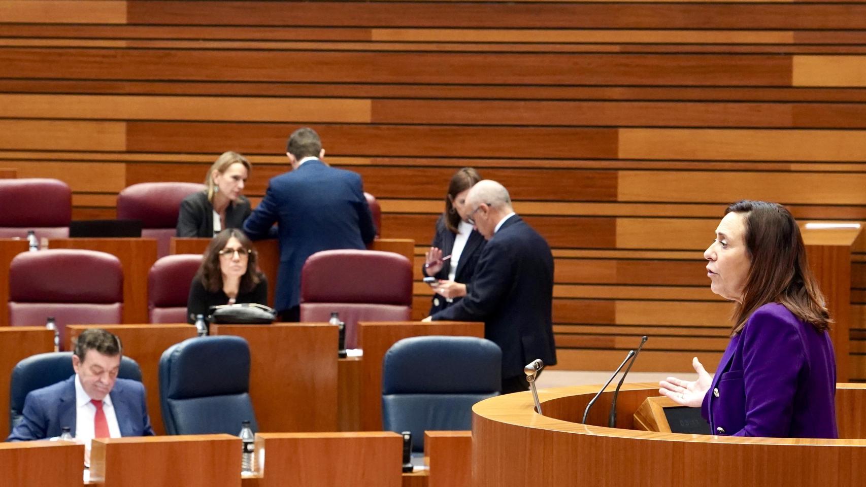 La procuradora socialista Rosa Rubio durante la presentación de la iniciativa en el pleno de las Cortes de este miércoles