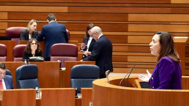 La procuradora socialista Rosa Rubio durante la presentación de la iniciativa en el pleno de las Cortes de este miércoles