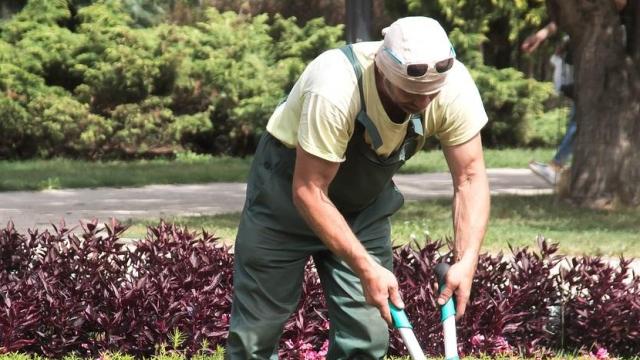 Un jardinero en la provincia de Valladolid