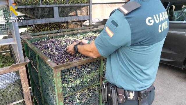 Un agente de la Guardia Civil con parte de la mercancía incautada.