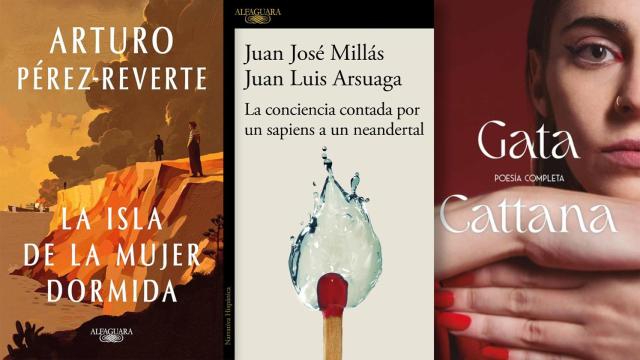 librosmasvendidos copia