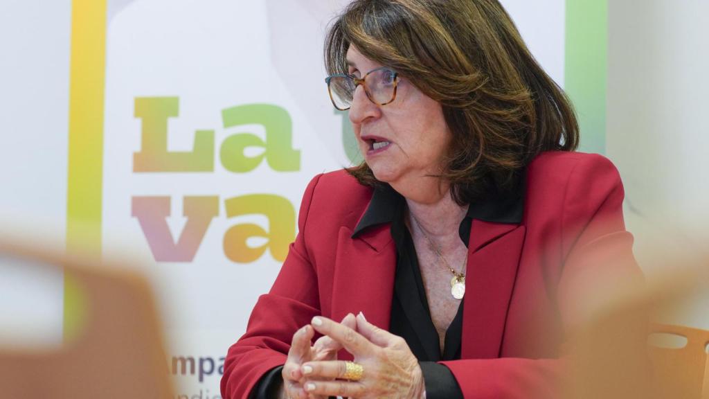 Amparo Navarro, candidata a rectora de la UA, frente a su cartel electoral.