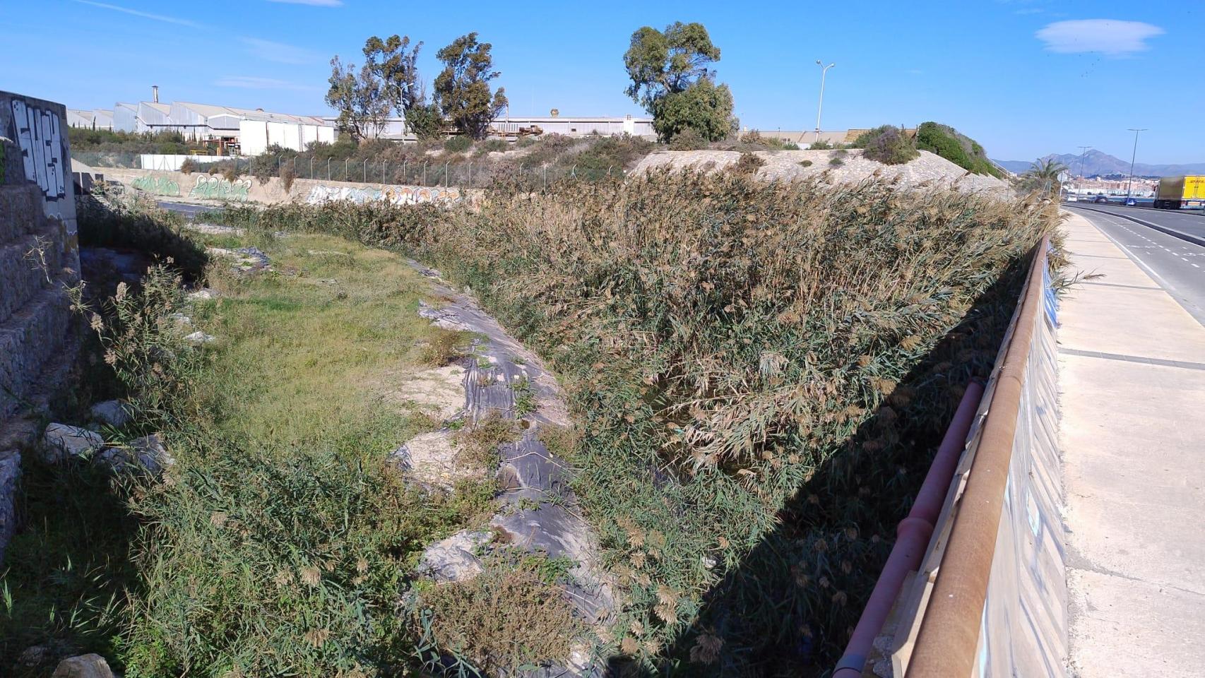 El barranco de Aguamarga de Alicante en su zona urbana y lleno de cañas en su desembocadura.