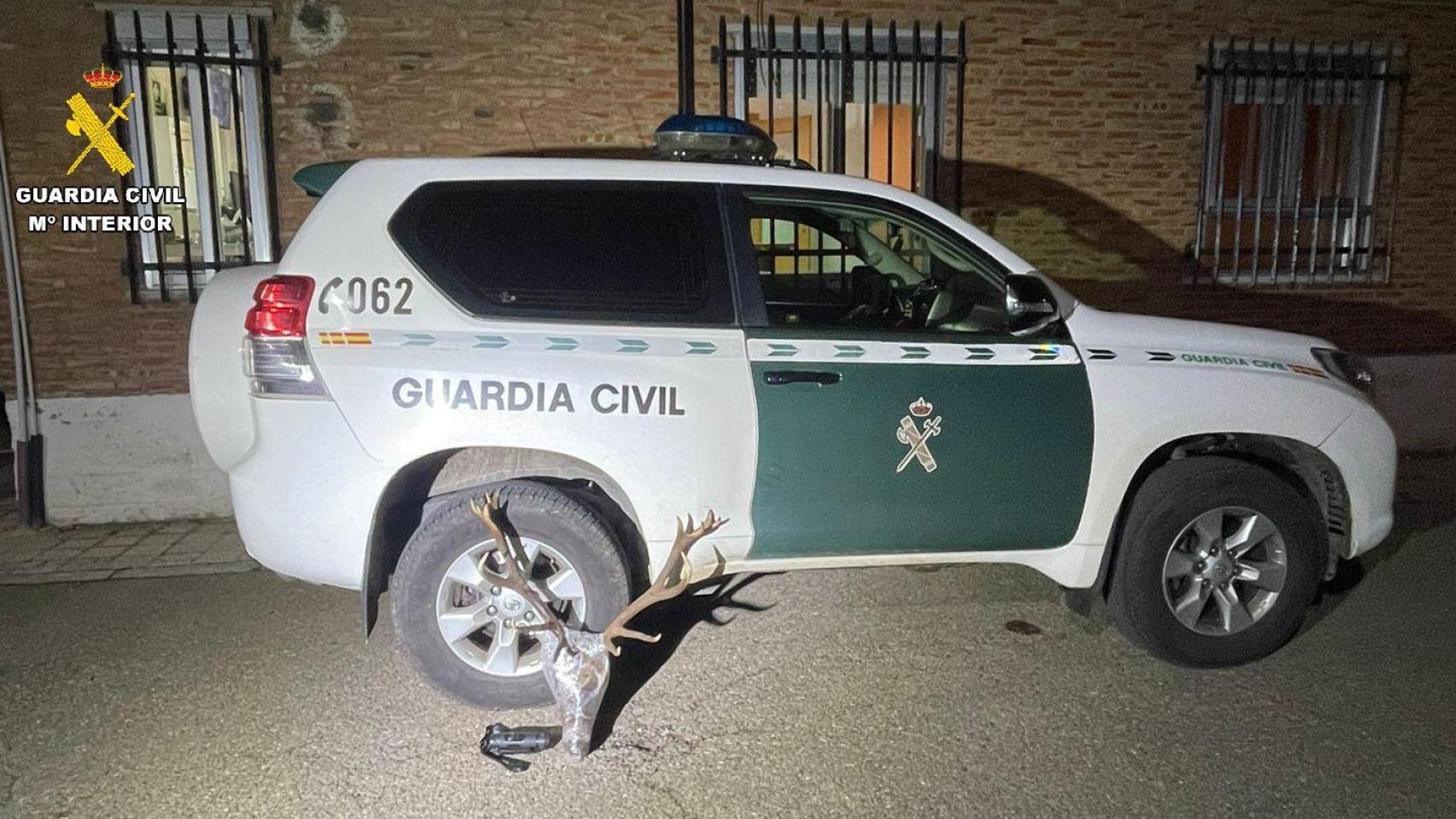 Imagen de la Guardia Civil con la cabaza del venado