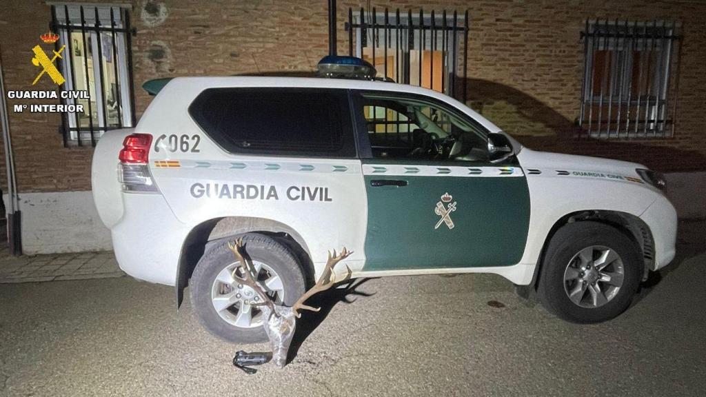 Imagen de la Guardia Civil con la cabaza del venado