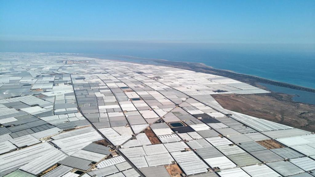 La agricultura en Almería es de las más eficientes en el consumo de agua gracias a sus invernaderos.